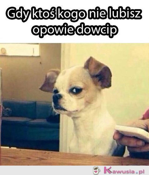 Skończ...