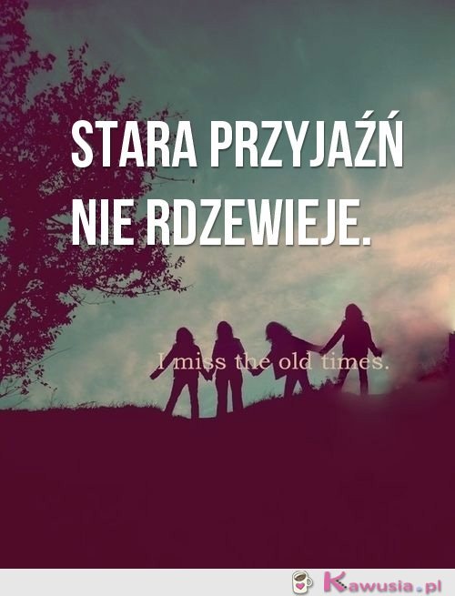 Stara przyjaźń