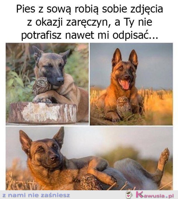 TAKŻE MOŻE ODPISZESZ W KOŃCU
