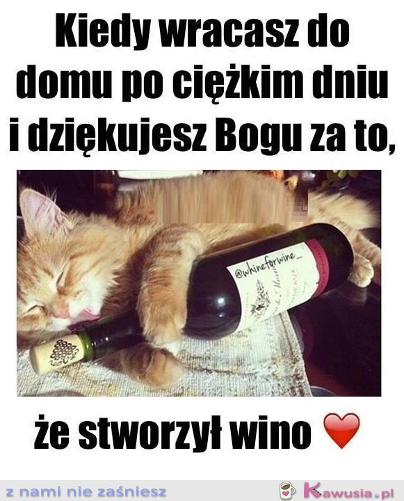 Alleluja...