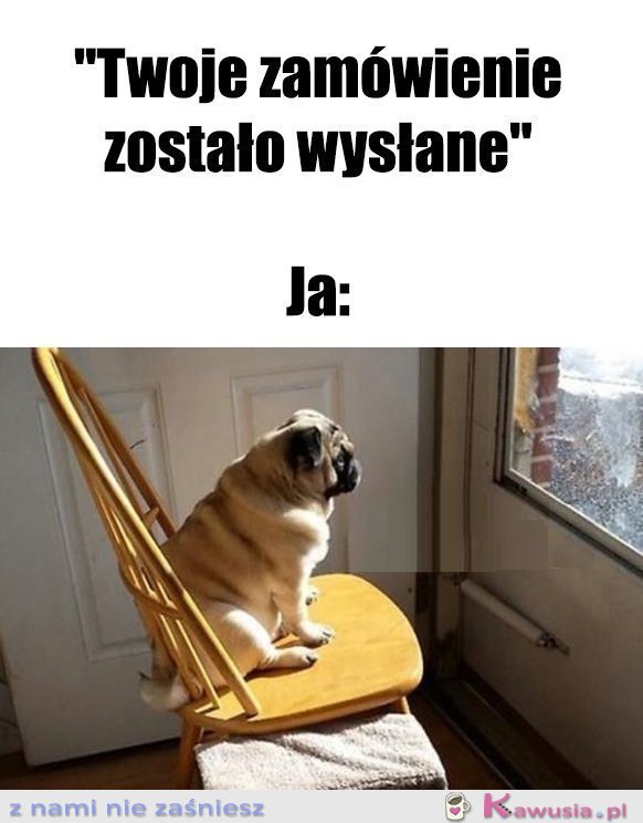 No ile można czekać...