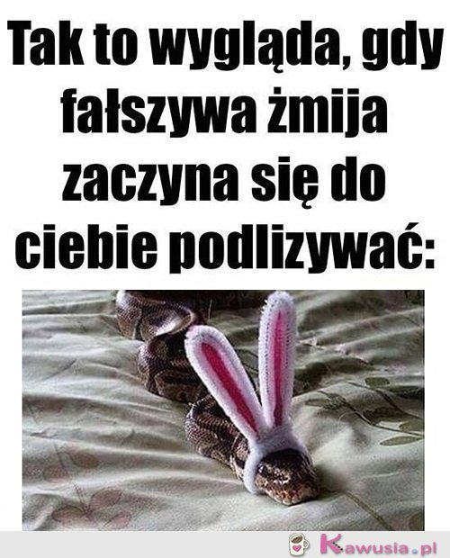 Coś tu nie gra...