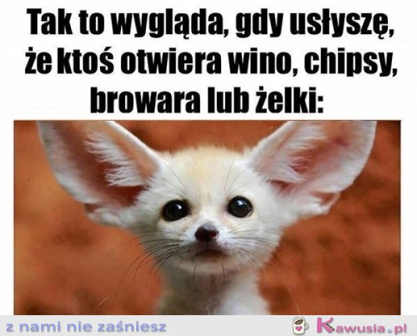 Czy mnie słuch nie myli?