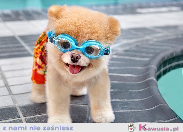 Kto idzie pływać