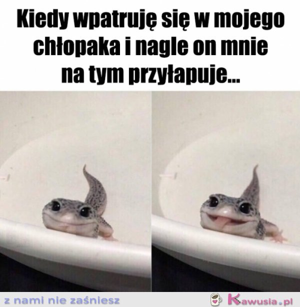 Hej przystojniaku