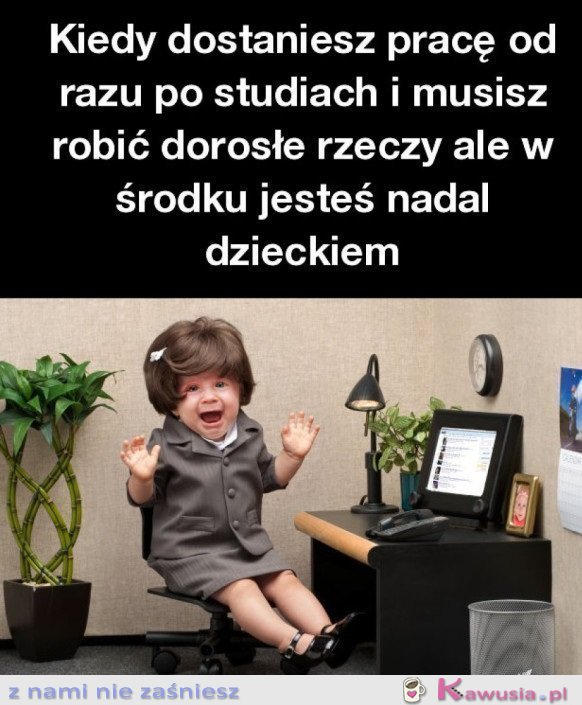 KIEDY DOSTANIESZ PRACĘ OD RAZU PO STUDIACH