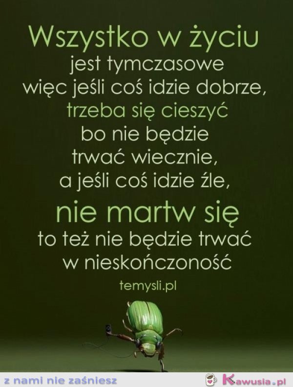 Wszystko w życiu jest tymczasowe