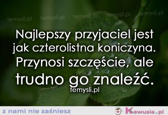 Najlepszy przyjaciel jest3