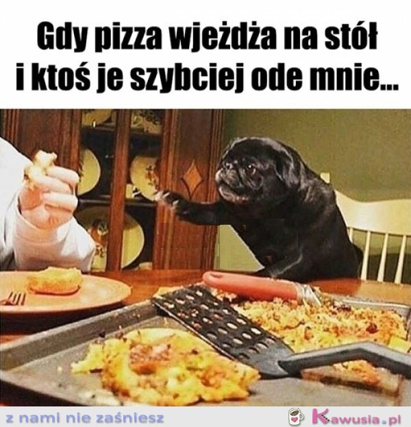 Człowieku uspokój się...