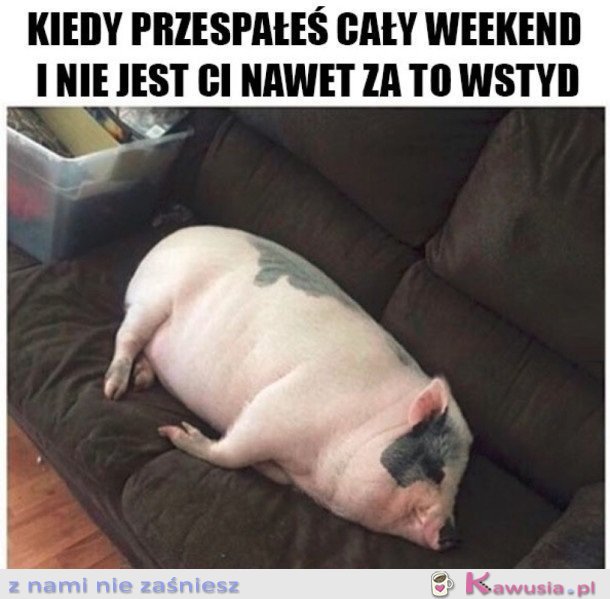 UWIELBIAM TO ROBIĆ