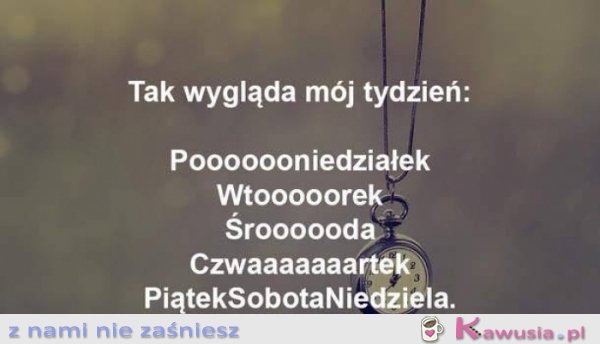 M&oacute;j tydzień