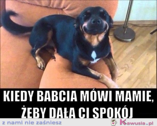 KOCHANA BABCIA