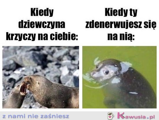Ale co się stało?