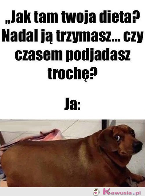 Żartujesz?