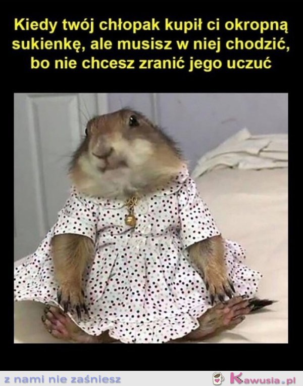 Tak bardzo go kocham