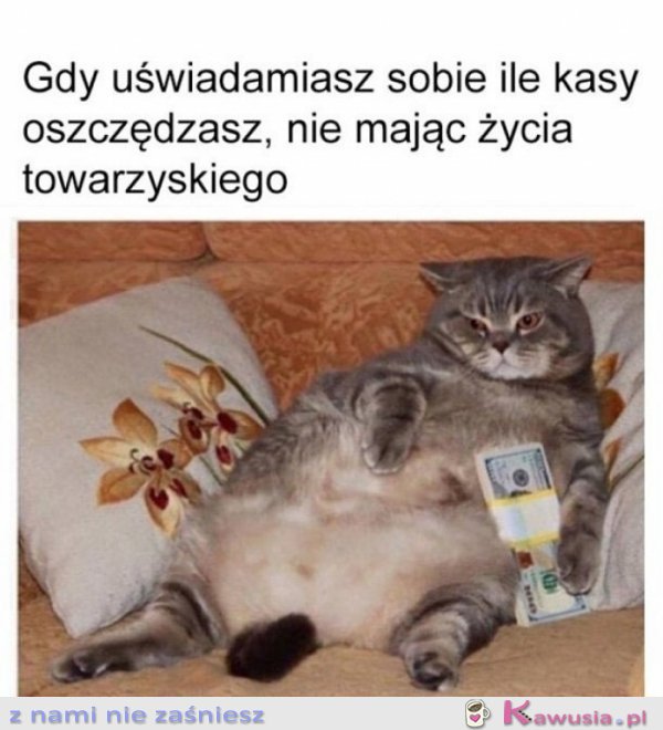 Już nigdy nie wyjdę