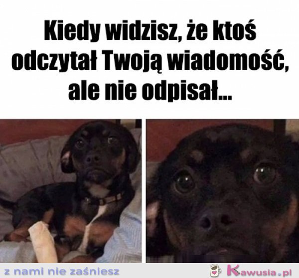 Jeszcze zobaczymy...