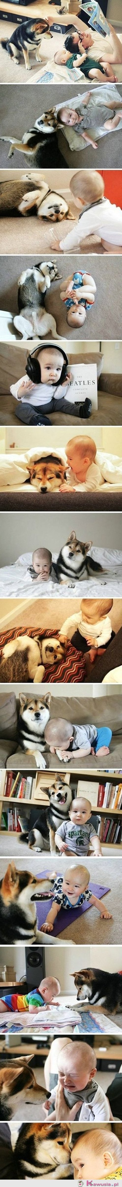 Prawdziwa przyjaźń...