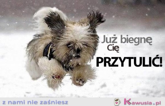 Już biegnę 