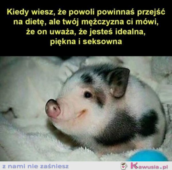 M&oacute;j facet jest taki słodki