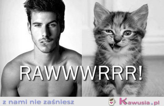 RAWWWRRR