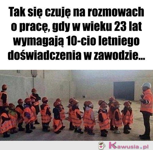 Dokładnie tak