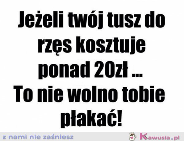 Zasada nr 1