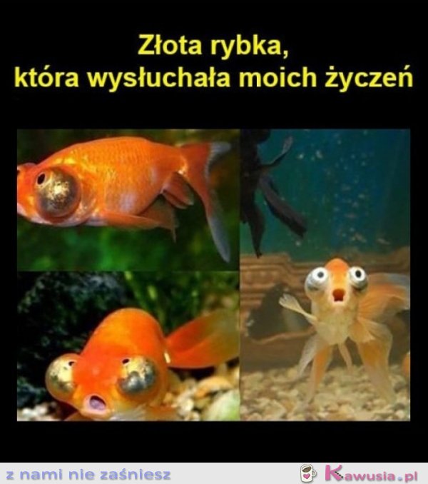 Pierwszy raz widzę tę mine u niej