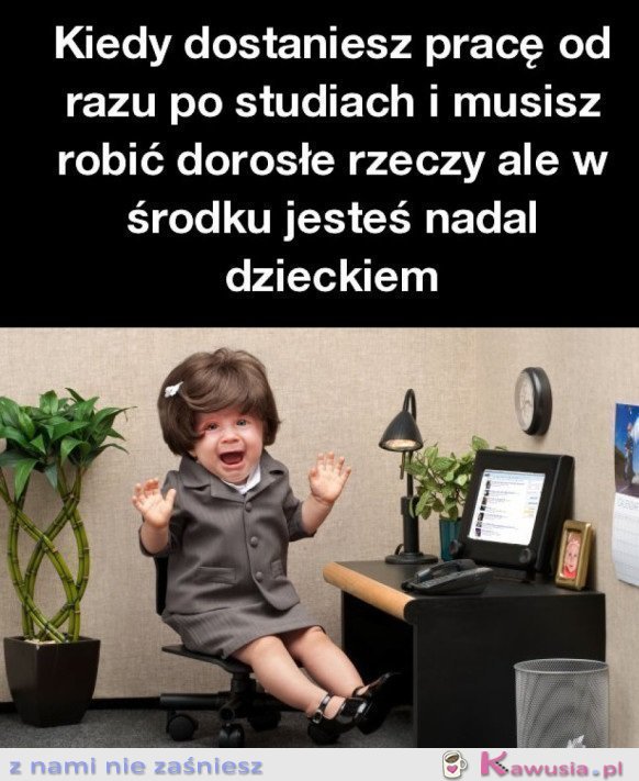 KIEDY DOSTANIESZ PRACĘ OD RAZU PO STUDIACH