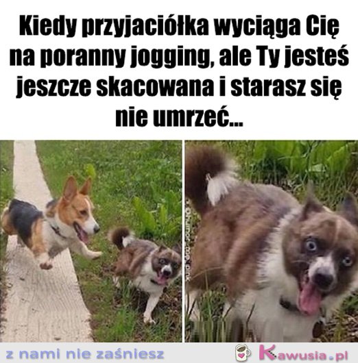 To był błąd...