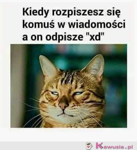 Ale się rozpisał