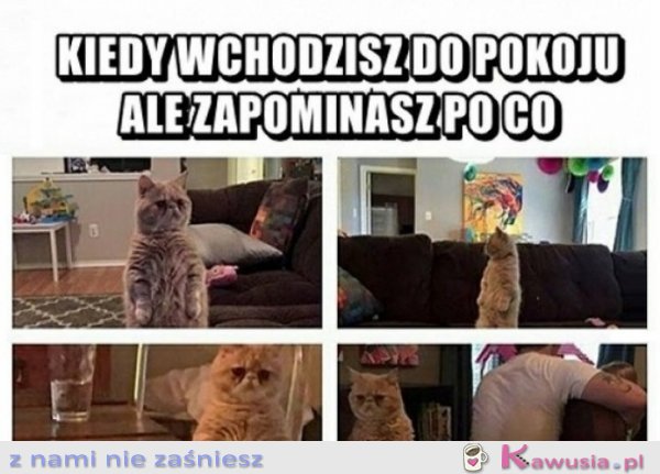 Skleroza nie boli...