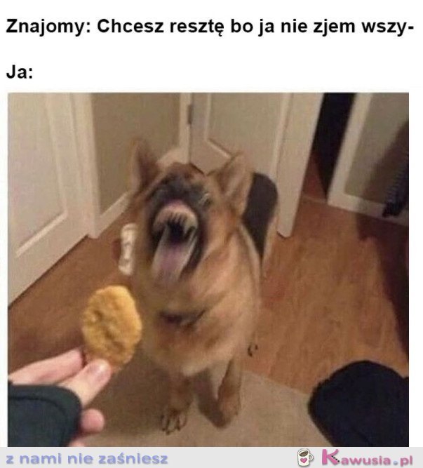 JESTEM ZACHŁANNY NA JEDZENIE