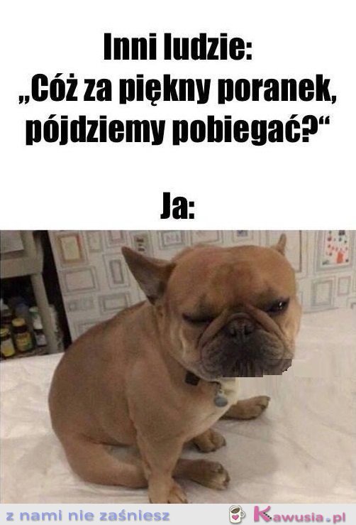 Czy to żart?