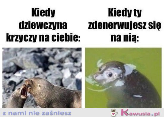 Ale co się stało?