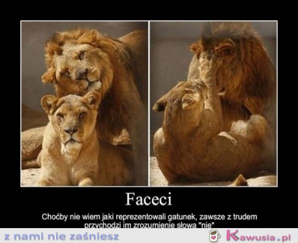 Faceci...