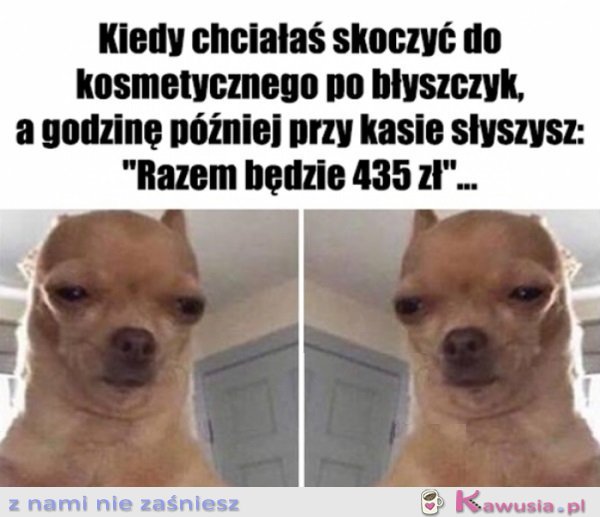 Znowu to zrobiłam...