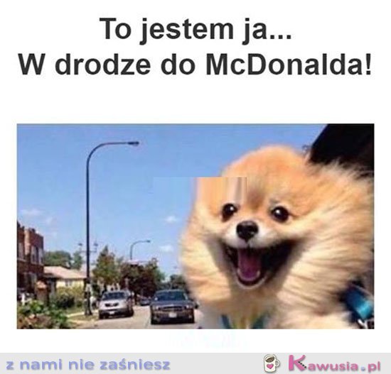 Ja w drodze do maka