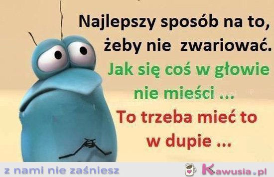 Nie mieści mi się to w głowie