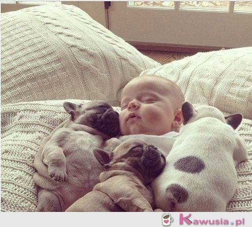 Tyle słodyczy na jednym zdjęciu