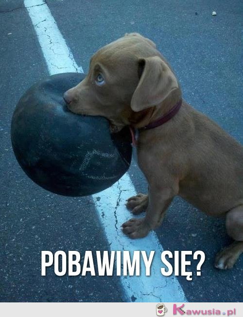 Pobawimy się