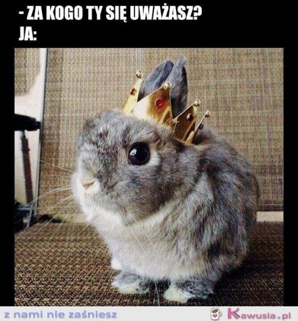 Jestem księżniczką