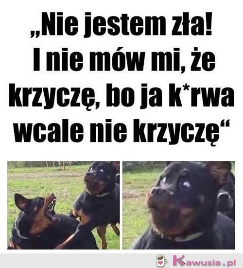 Jestem oazą spokoju