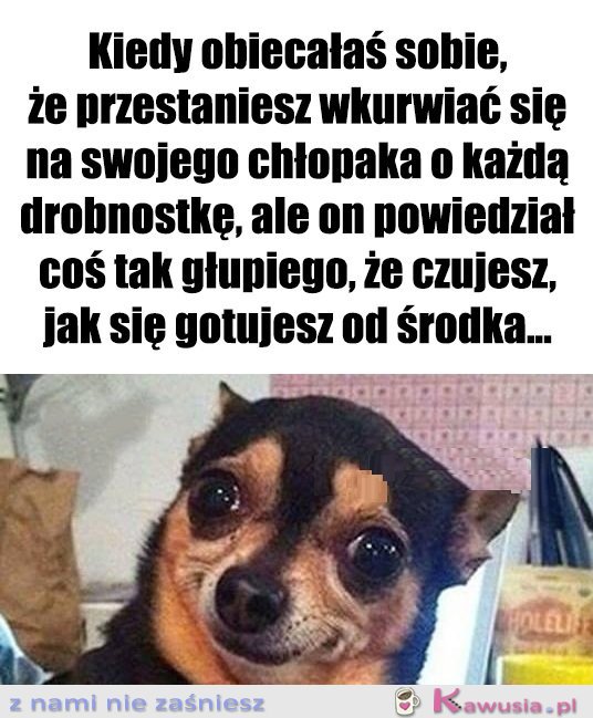 No i jak tu się nie odezwać...