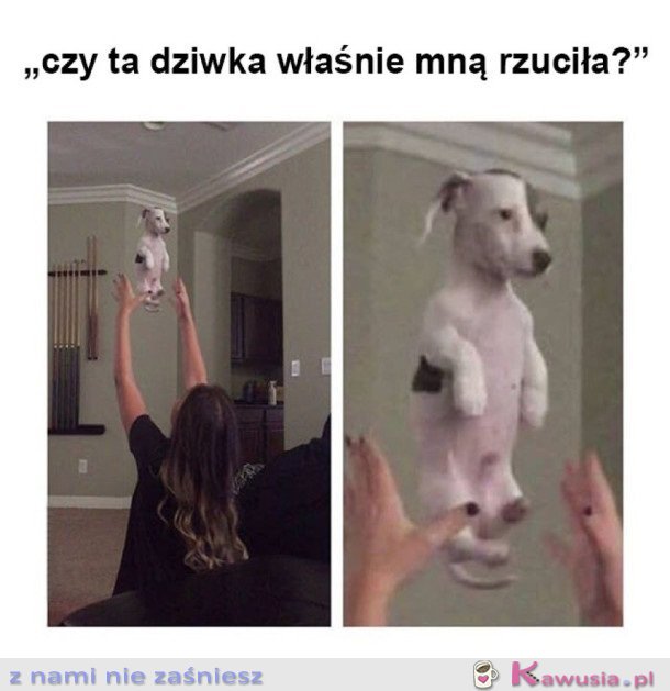 CHYBA SOBIE ŻARTY ROBI