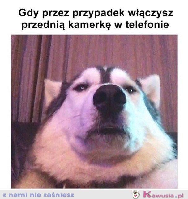 KIEDY PRZEZ PRZYPADEK...