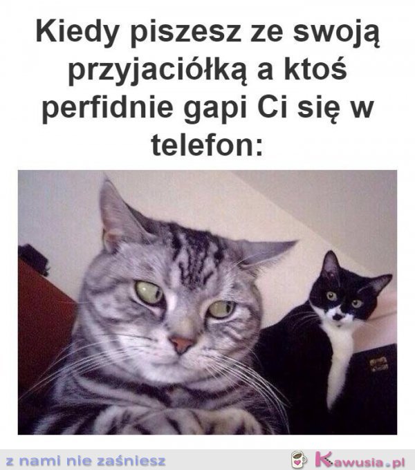 Kiedy piszesz ze swoją przyjaci&oacute;łką