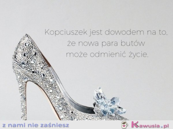 Czas na zakupy...