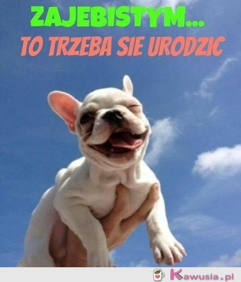 Takim trzeba się urodzić