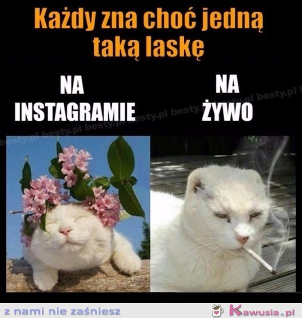 Każda ma dwie twarze